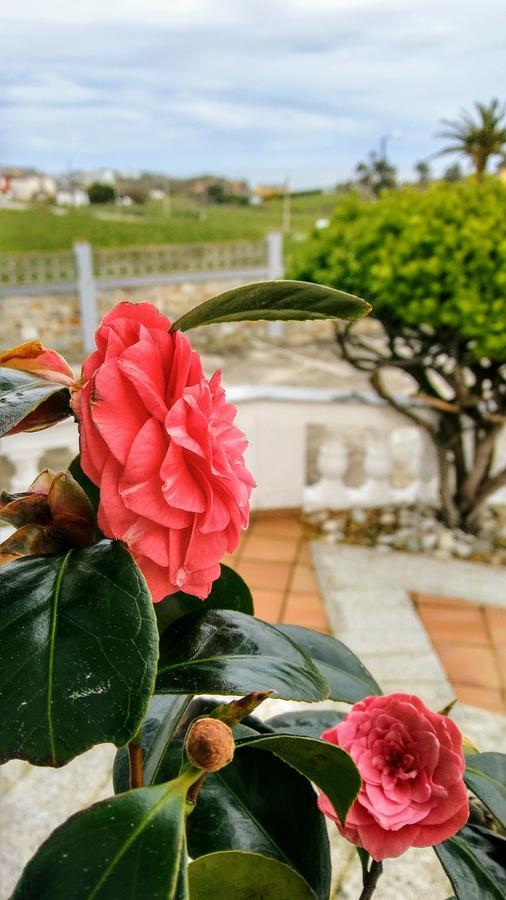 Hotel El Panorama Tapia De Casariego Zewnętrze zdjęcie